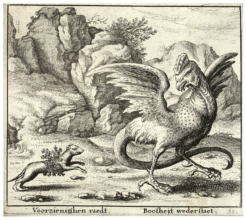 Weasel historic illustration